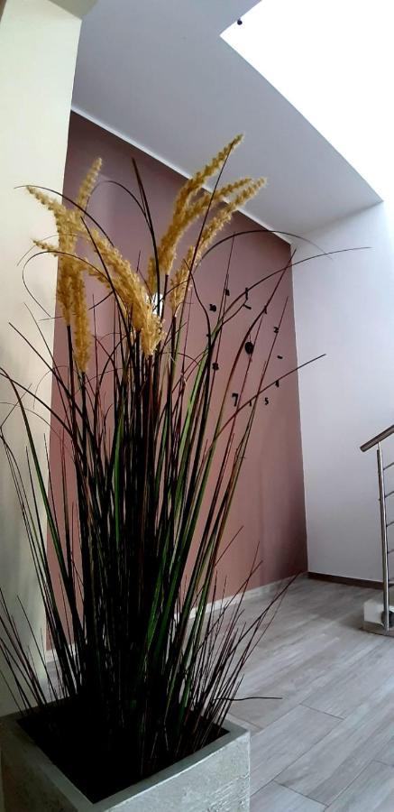 B&B Filieri Santa Maria al Bagno Extérieur photo
